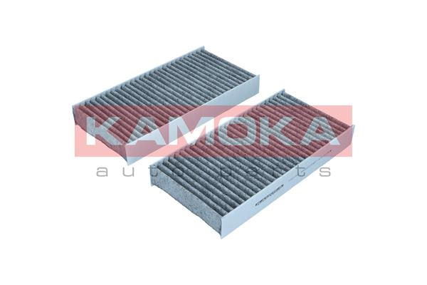 Filter, cabin air (F521501)
