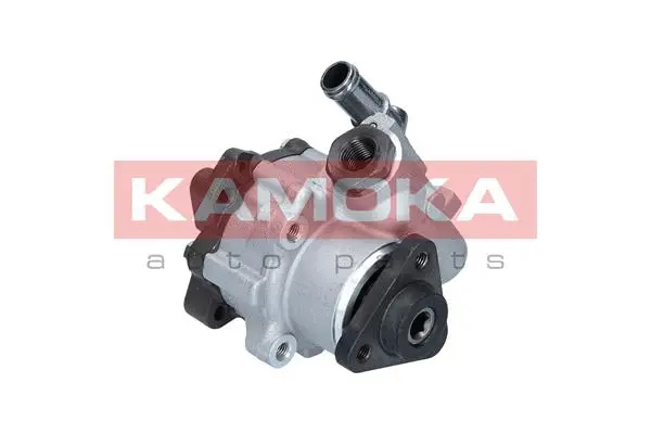 Hydraulic Pump, steering (PP019)