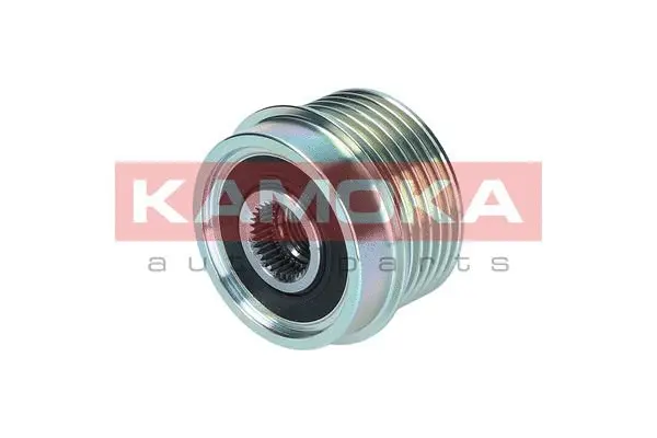 Alternator Freewheel Clutch