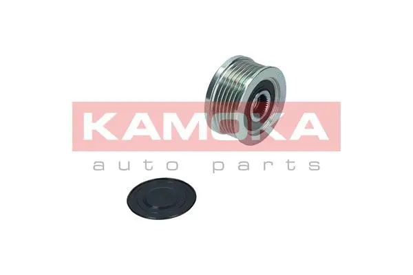 Alternator Freewheel Clutch