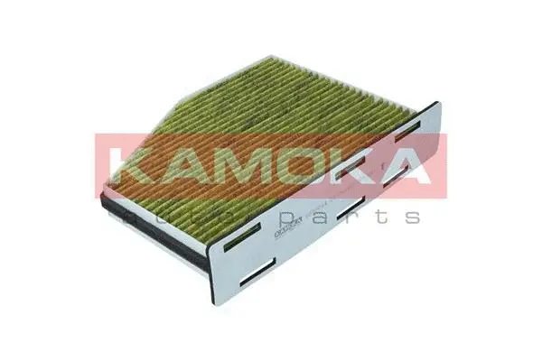 Filter, cabin air (6080044)