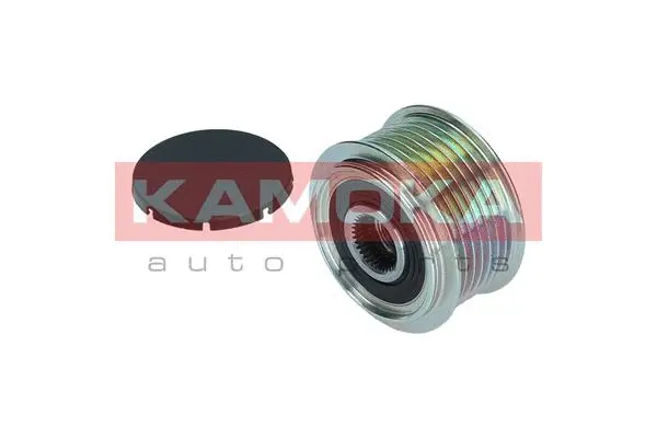 Alternator Freewheel Clutch