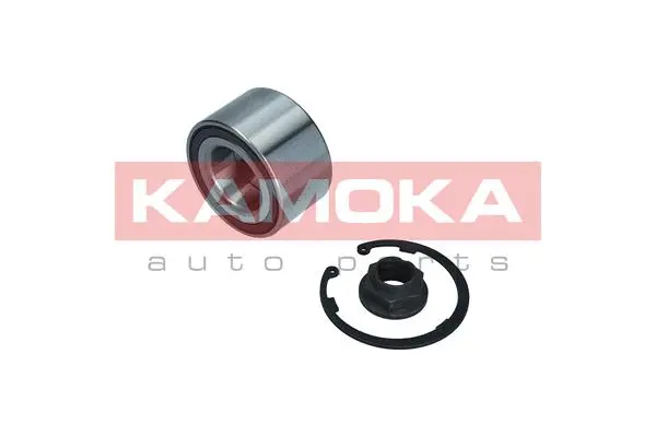 Wheel Bearing Kit (5600181)