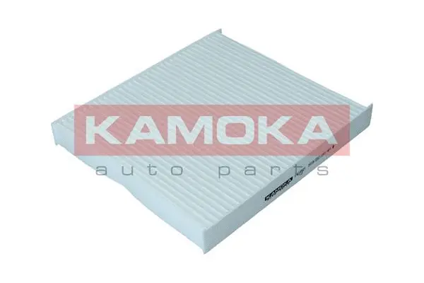 Filter, cabin air (F418501)