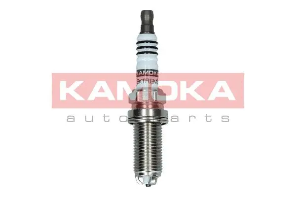 Spark Plug (7100513)