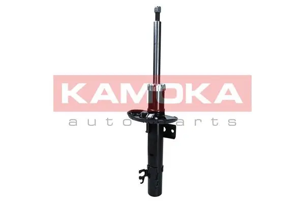 Shock Absorber (2000021)