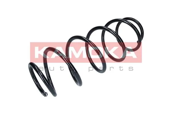 Suspension Spring (2110325)