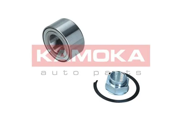 Wheel Bearing Kit (5600120)