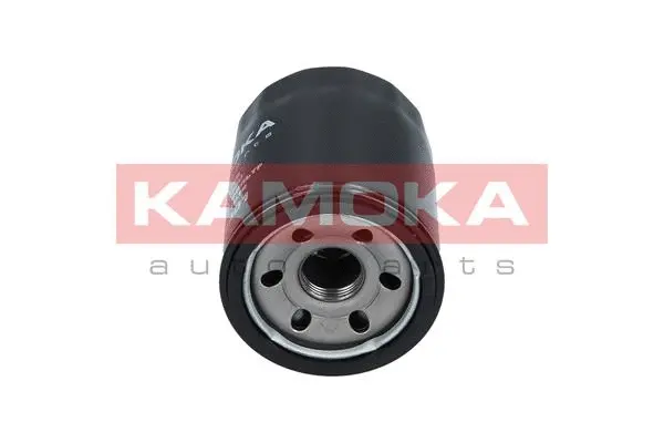 Oil Filter (F104401)