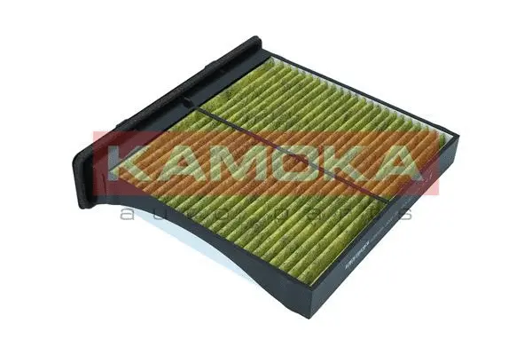 Filter, cabin air (6080166)