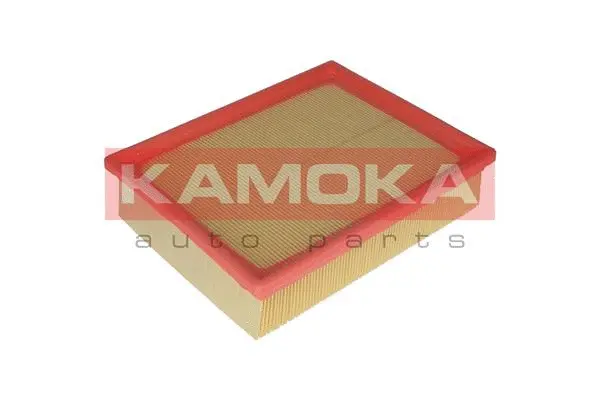 Air Filter (F229401)
