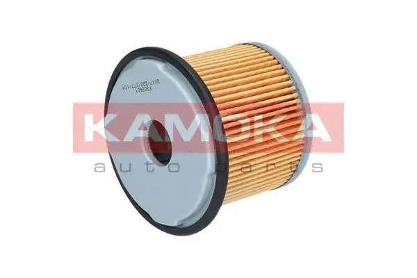 Fuel Filter (F302801)