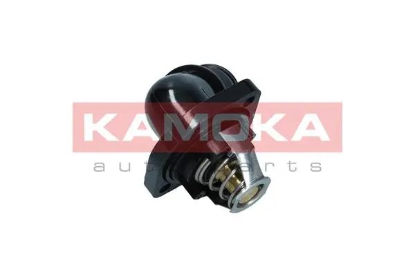 Thermostat, coolant