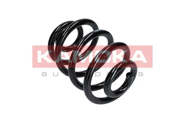 Suspension Spring (2120075)