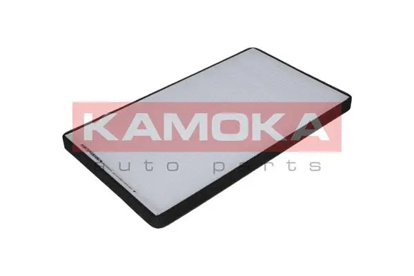 Filter, cabin air (F405501)