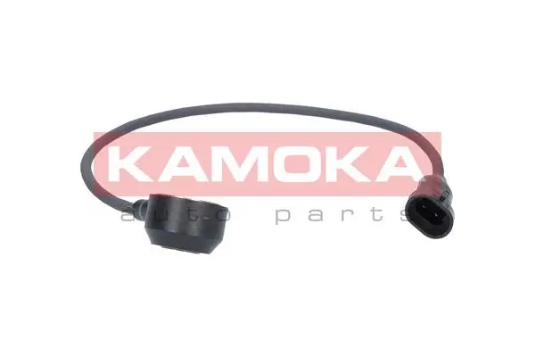 Knock Sensor (111001)