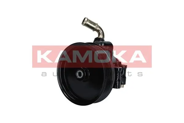 Hydraulic Pump, steering (PP116)