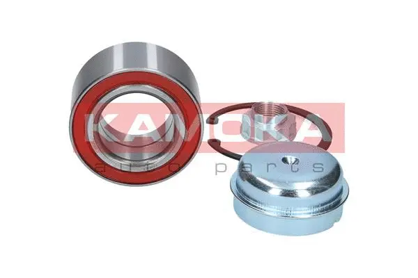 Wheel Bearing Kit (5600025)