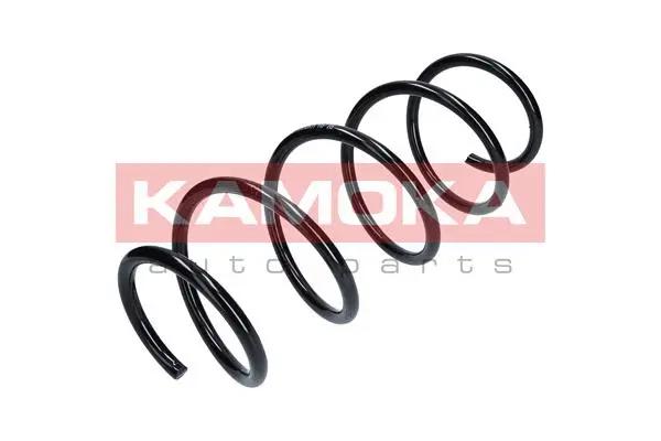 Suspension Spring (2110236)