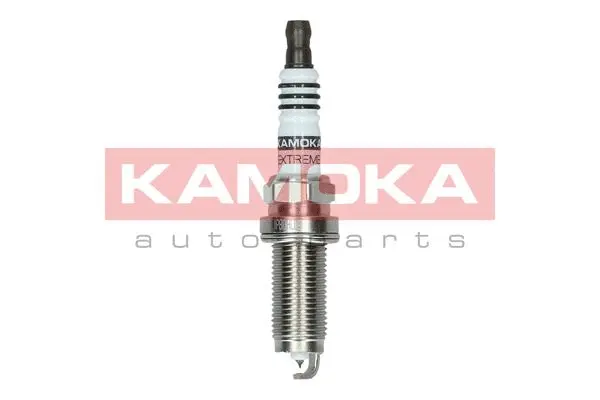 Spark Plug (7100043)