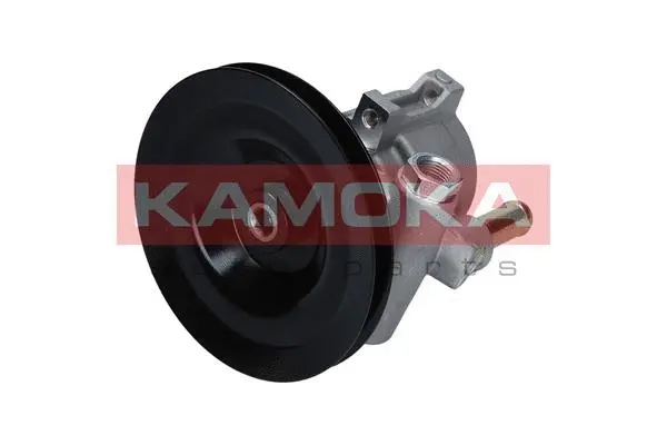 Hydraulic Pump, steering (PP148)
