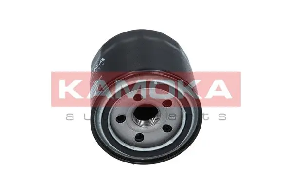 Oil Filter (F104701)