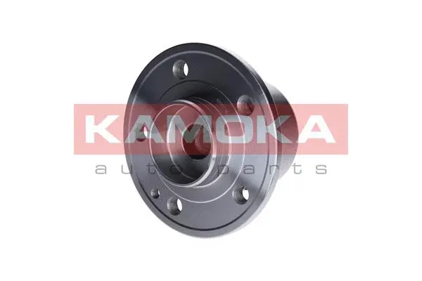Wheel Bearing Kit (5500136)