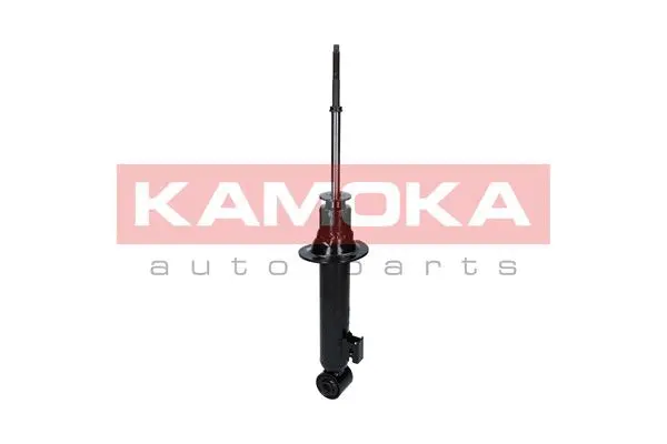 Shock Absorber (2000611)