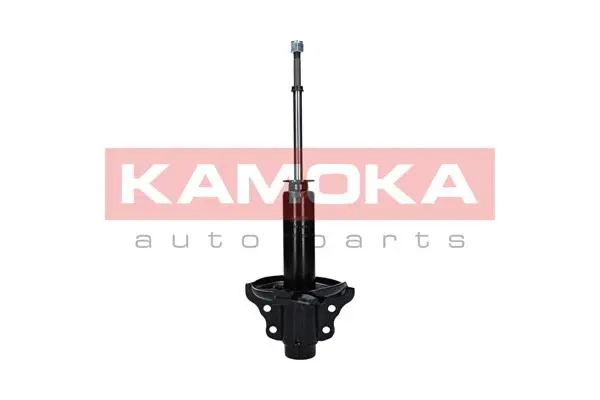 Shock Absorber (2000639)