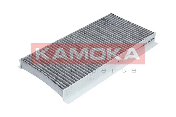 Filter, cabin air (F500901)