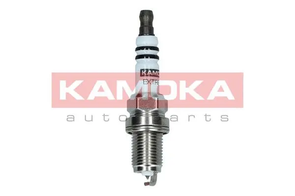 Spark Plug (7090031)