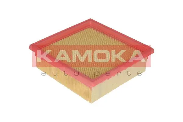 Air Filter (F213601)