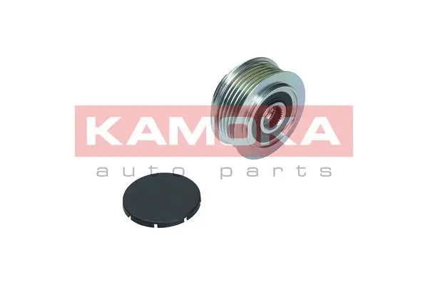 Alternator Freewheel Clutch