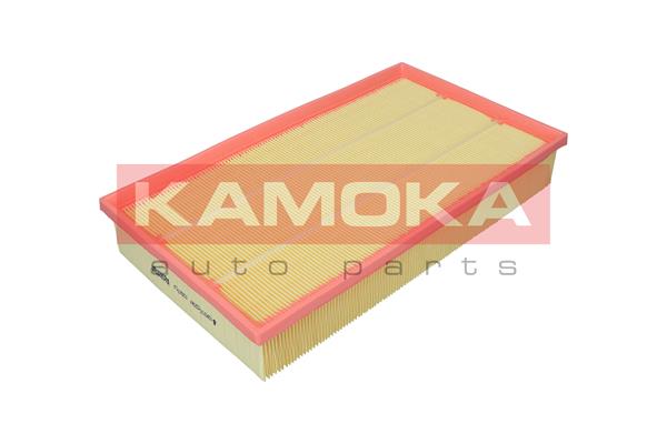 Air Filter (F257601)