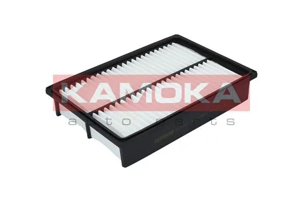 Air Filter (F211701)