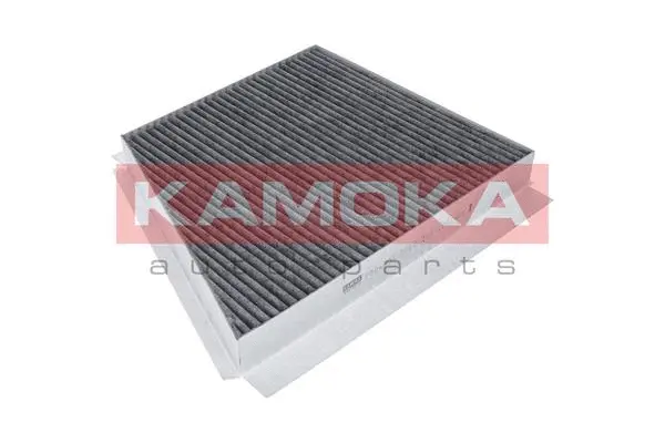 Filter, cabin air (F504601)