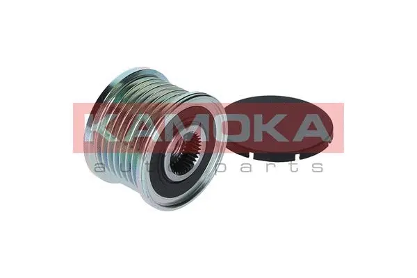 Alternator Freewheel Clutch
