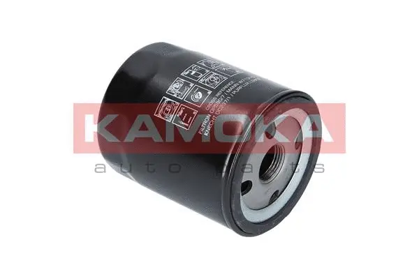 Oil Filter (F113601)