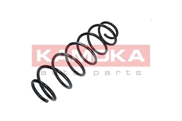 Suspension Spring (2120206)