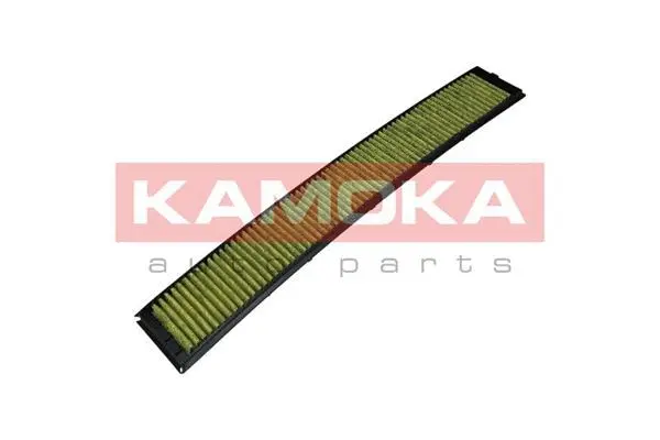 Filter, cabin air (6080026)