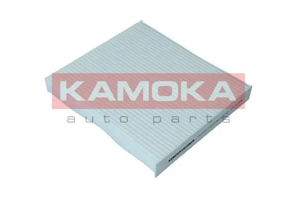 Filter, cabin air (F420301)