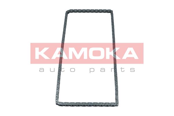 Timing Chain (7001710)