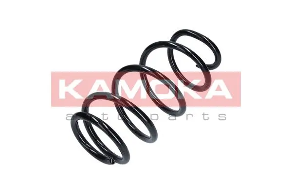 Suspension Spring (2110294)