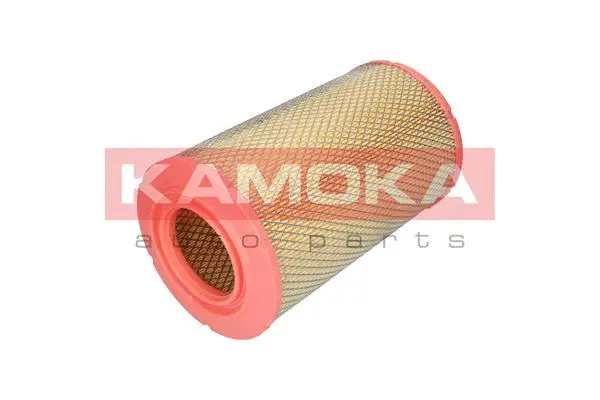 Air Filter (F201901)