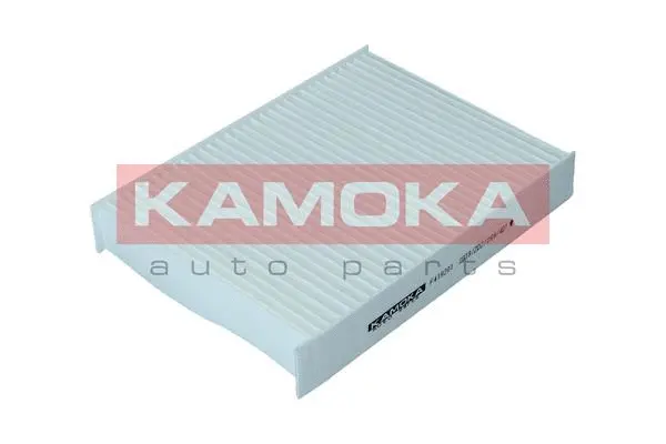 Filter, cabin air (F419201)
