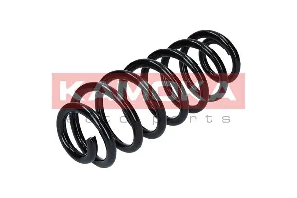 Suspension Spring (2120106)