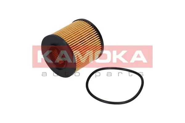 Oil Filter (F109801)