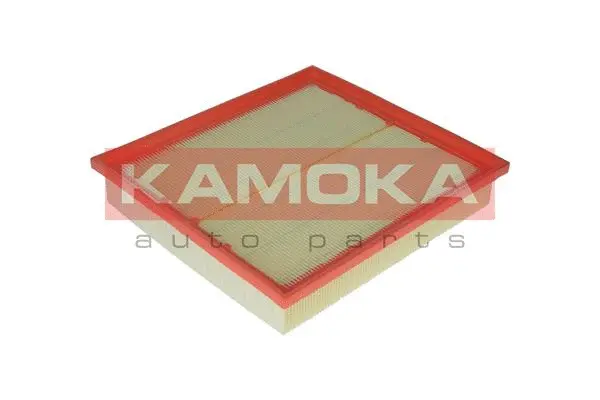 Air Filter (F217801)