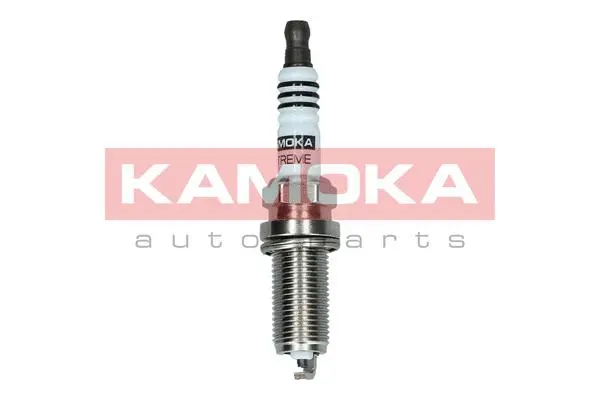 Spark Plug (7090526)