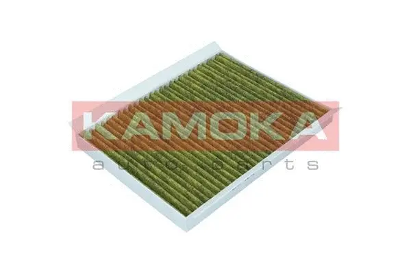 Filter, cabin air (6080011)